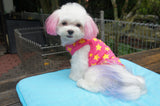 Super Woof Star Tee (Neon Pink / Neon Yellow)