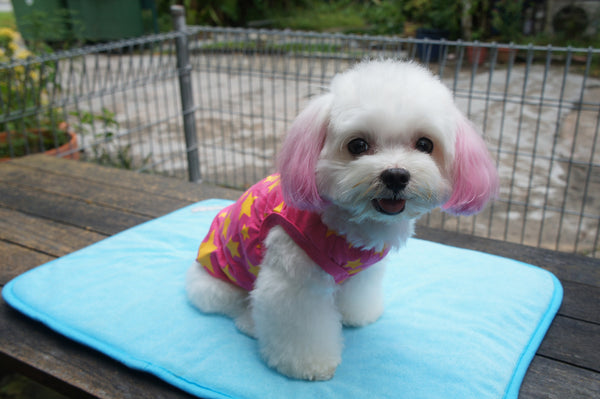 Super Woof Star Tee (Neon Pink / Neon Yellow)