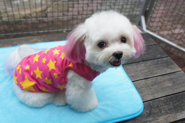 Super Woof Star Tee (Neon Pink / Neon Yellow)