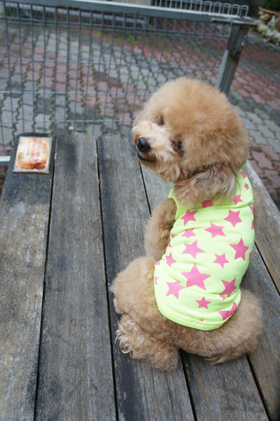 Super Woof Star Tee (Neon Pink / Neon Yellow)