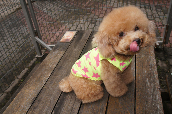 Super Woof Star Tee (Neon Pink / Neon Yellow)
