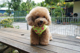 Super Woof Star Tee (Neon Pink / Neon Yellow)