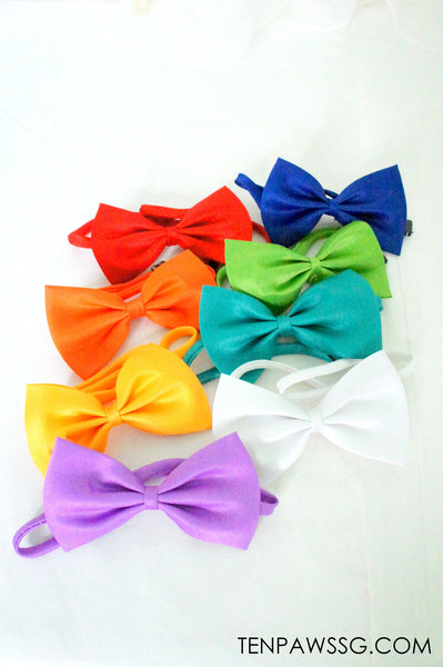 Bow Wow Tie