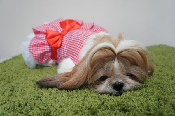 *NEW* Checkered Tutu Gown