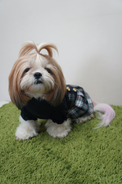 *NEW* Korean School Girl Dress