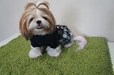 *NEW* Korean School Girl Dress