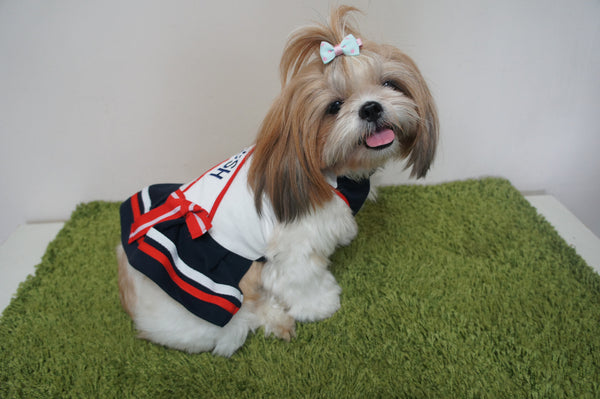 *NEW* Miss Posh Cheerleader Dress