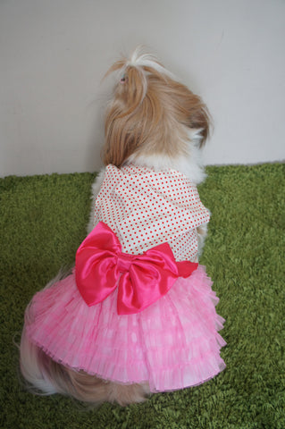 *NEW* Ah-go-go princess dress