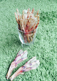 Duck Feet Chews