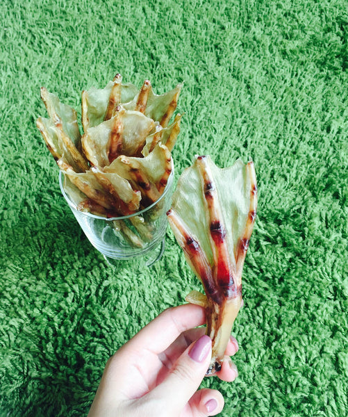 Duck Feet Chews