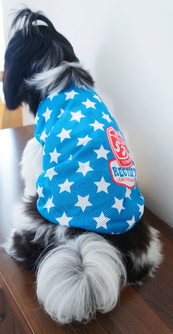 Furry Superstar Dri-Fit Singlet (BLUE)