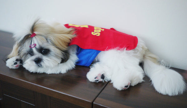 SuperDog singlet with Flying Cape!