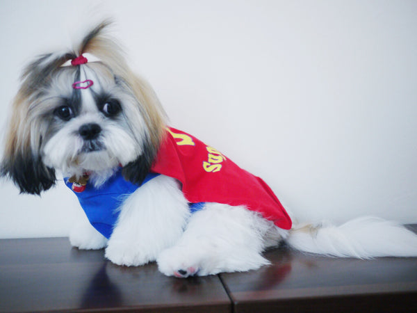 SuperDog singlet with Flying Cape!