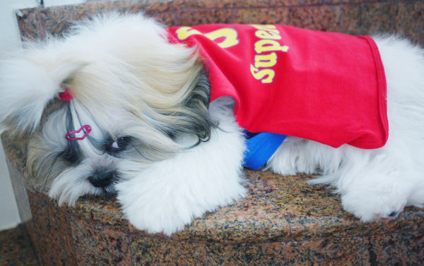 SuperDog singlet with Flying Cape!