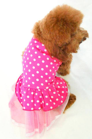 Polka Dot Ballerina Dress