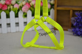 Candy Color Neon Harness and Leash