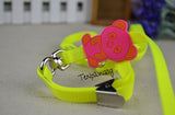 Candy Color Neon Harness and Leash