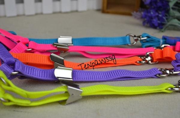 Candy Color Neon Harness and Leash