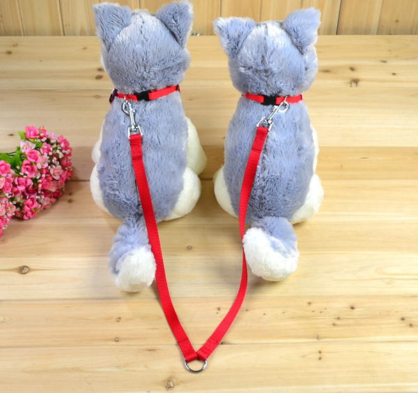 Dual Leash Extension