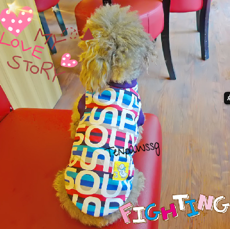 UUU Happy Singlet