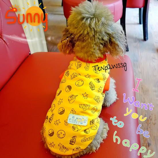 You're my sunshine singlet