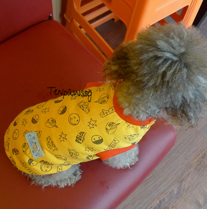 You're my sunshine singlet