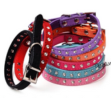 Diva Bling Collars