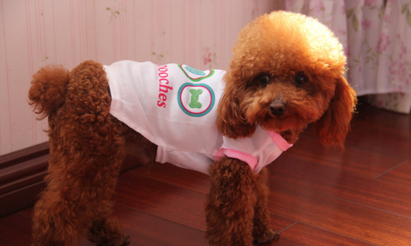 Love and Pooches Singlet