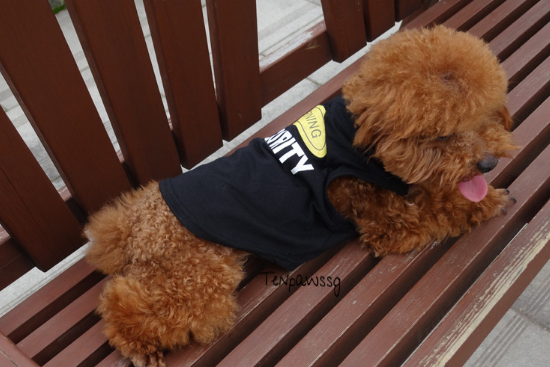 Warning! Security Singlet