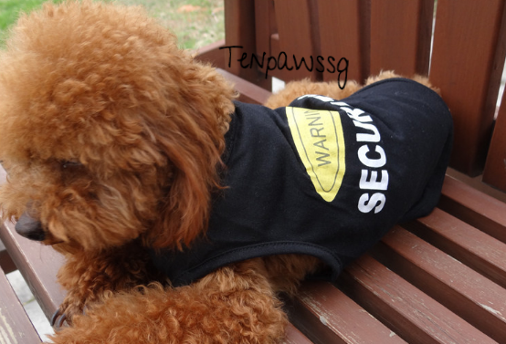 Warning! Security Singlet