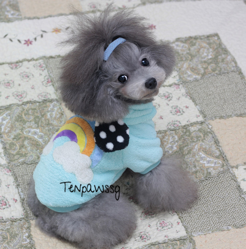 Fluffy Little Dream Bears Hoodie (Available in Pastel Blue or Pastel Yellow)