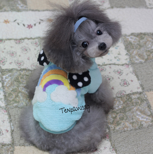 Fluffy Little Dream Bears Hoodie (Available in Pastel Blue or Pastel Yellow)