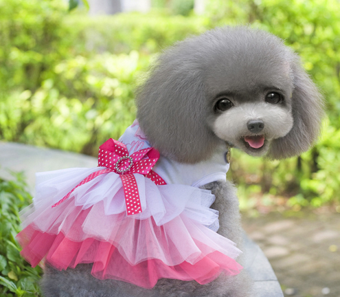 Pink poodle tutu skirt cheap